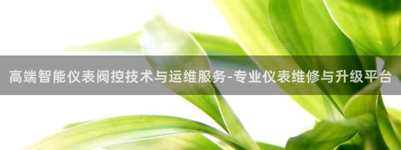新宝gg手机助手