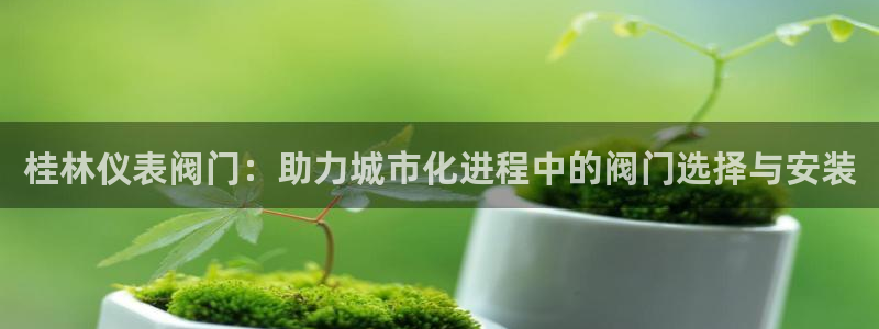 新宝gg公司