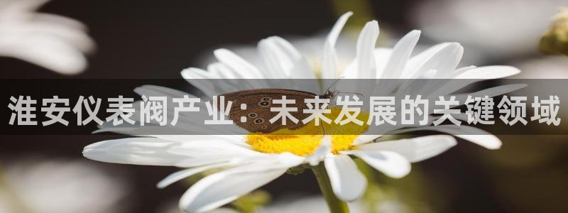 新宝gg赞颂63390