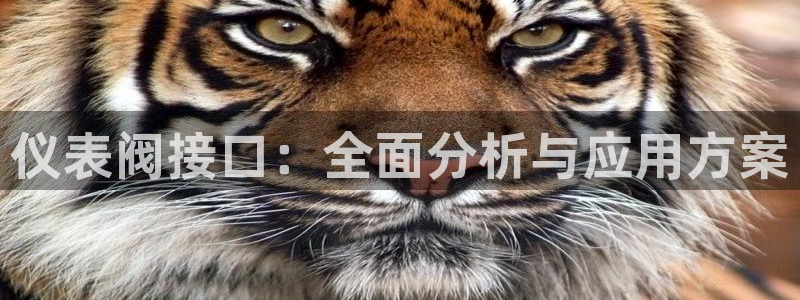 新宝gg登陆新