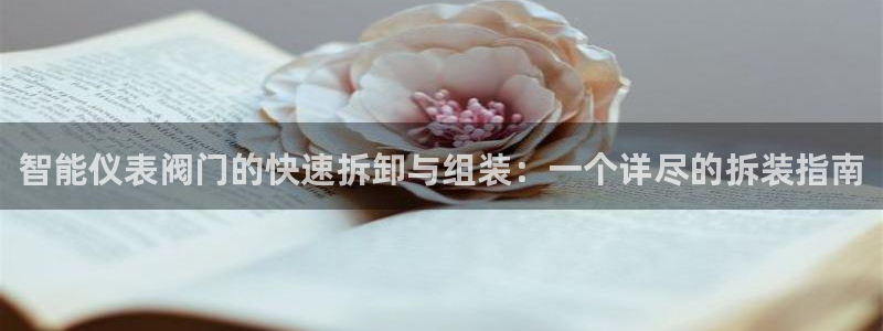 新宝gg平台登录