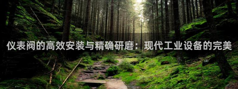 新宝gg 登录页面