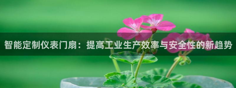 新宝gg如何代理