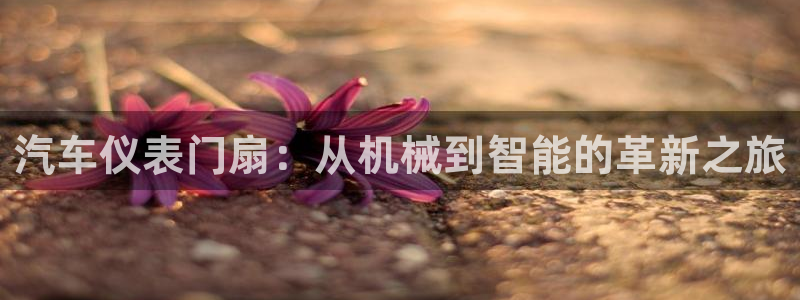 新宝GG于六七五一38