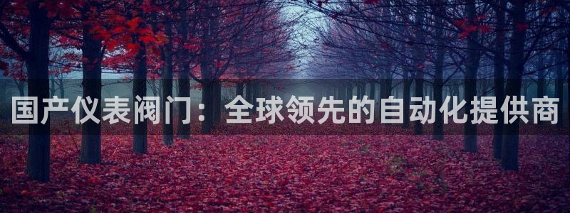 新宝gg软件下载