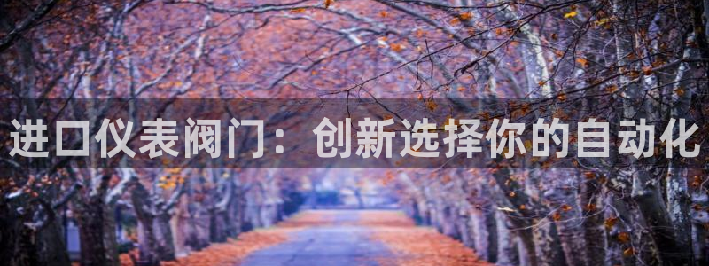 新宝gg找回账号