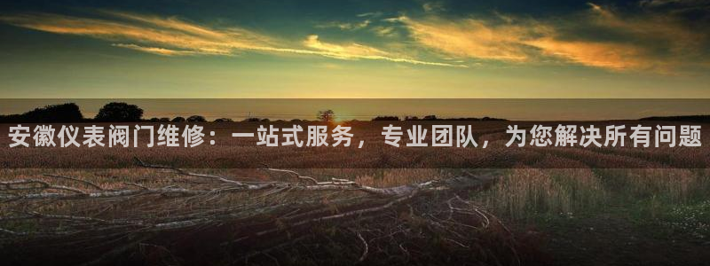 新宝gg是新宝几